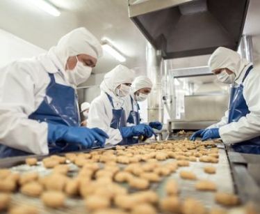 Bakery,Dairy & Food Products